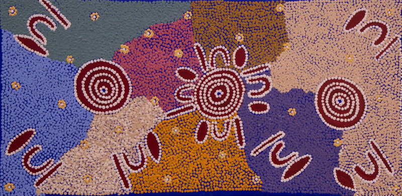 ada andy Kapi Tjukurrpa