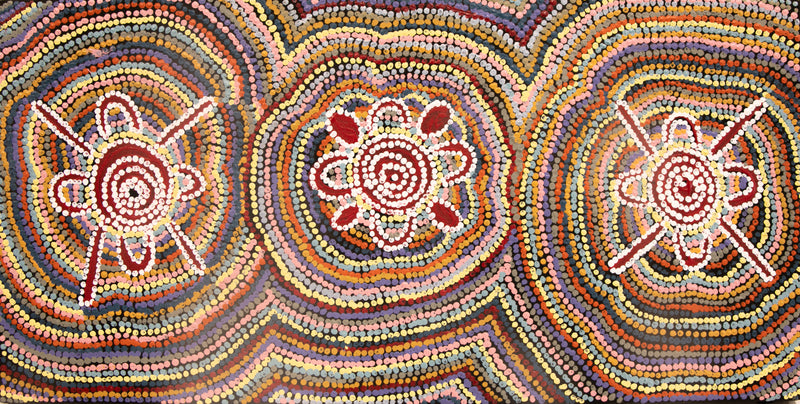 ada andy Kapi Tjukurrpa