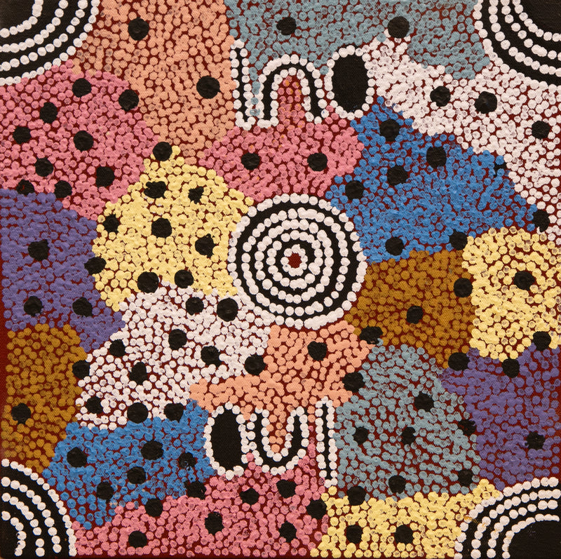 ada andy Kapi Tjukurrpa