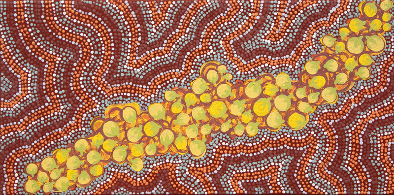 Akatyerre (Bush Sultana)