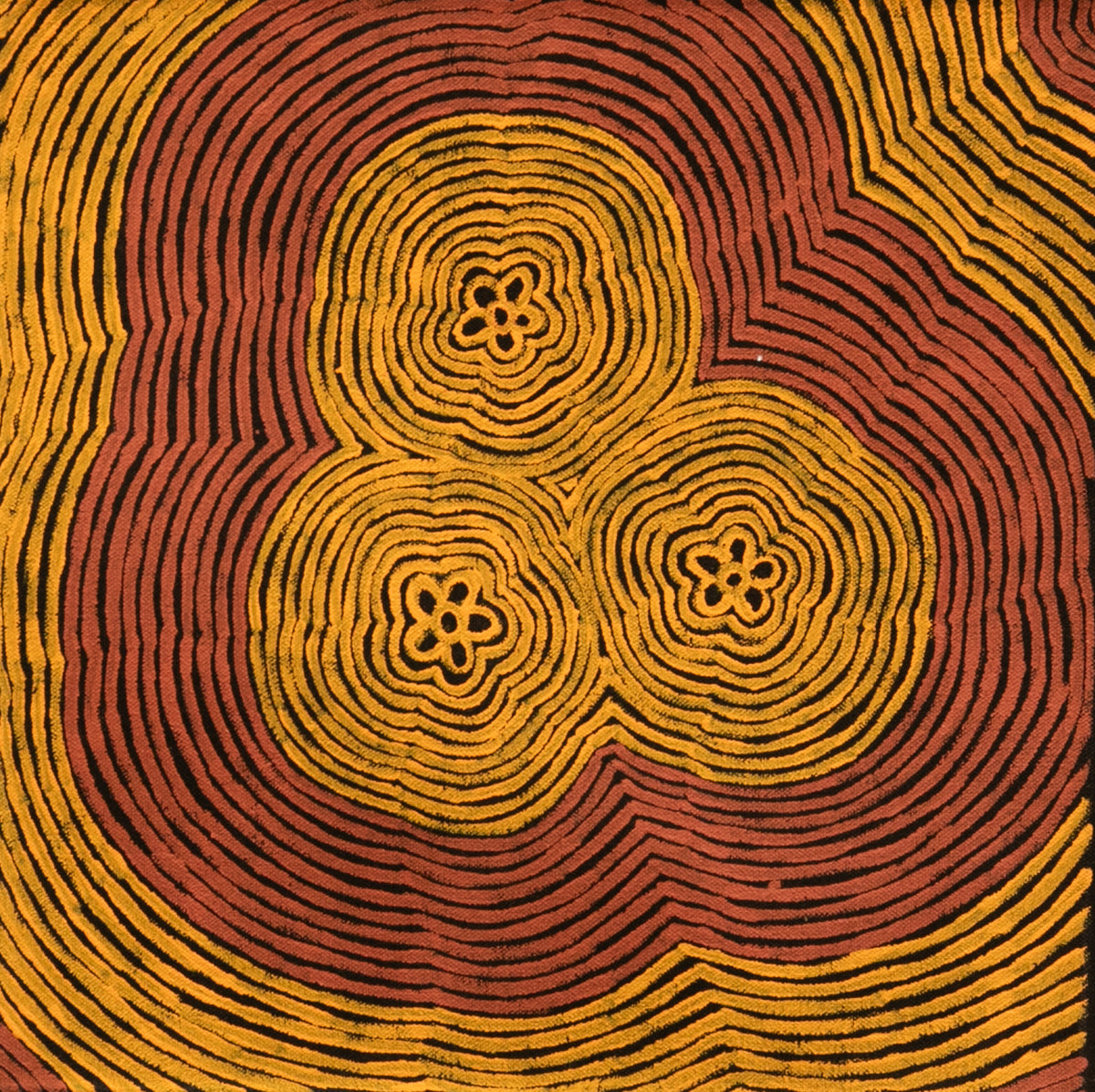 puuni Kapi Tjukurrpa