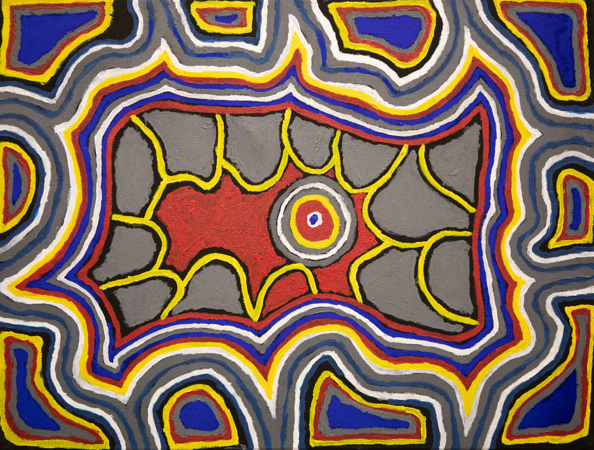 Tjupi Tjukurrpa (Honey Ant Dreaming)