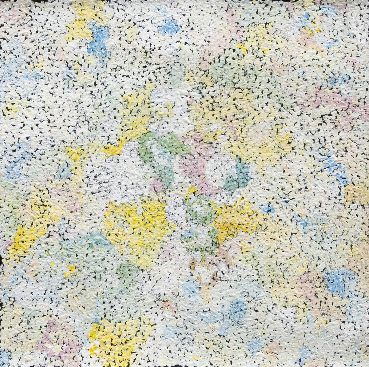Flora Brown Mina Mina Tjukurrpa (Lake Mackay Dreaming)