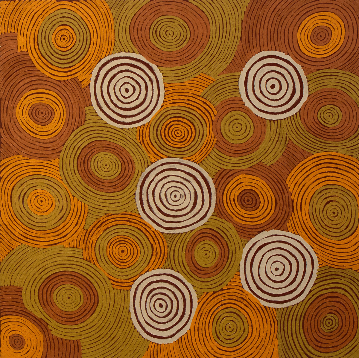 Jonathon Yungut Tjakamarra by Jonathon  Yungut 
