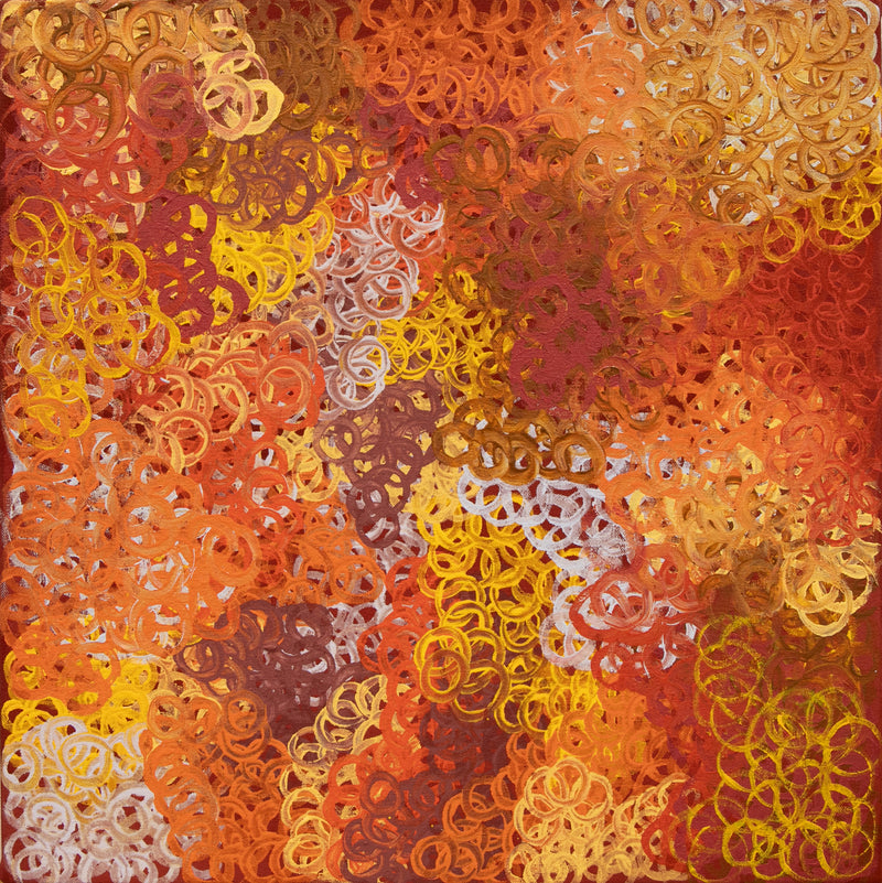 Akatjerre Tjukurrpa