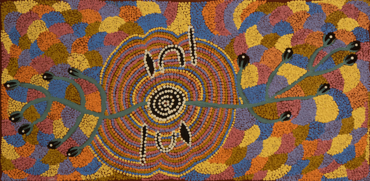 ada andy Kapi Tjukurrpa