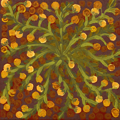 Akatjerre Tjukurrpa by Janelle Eggley