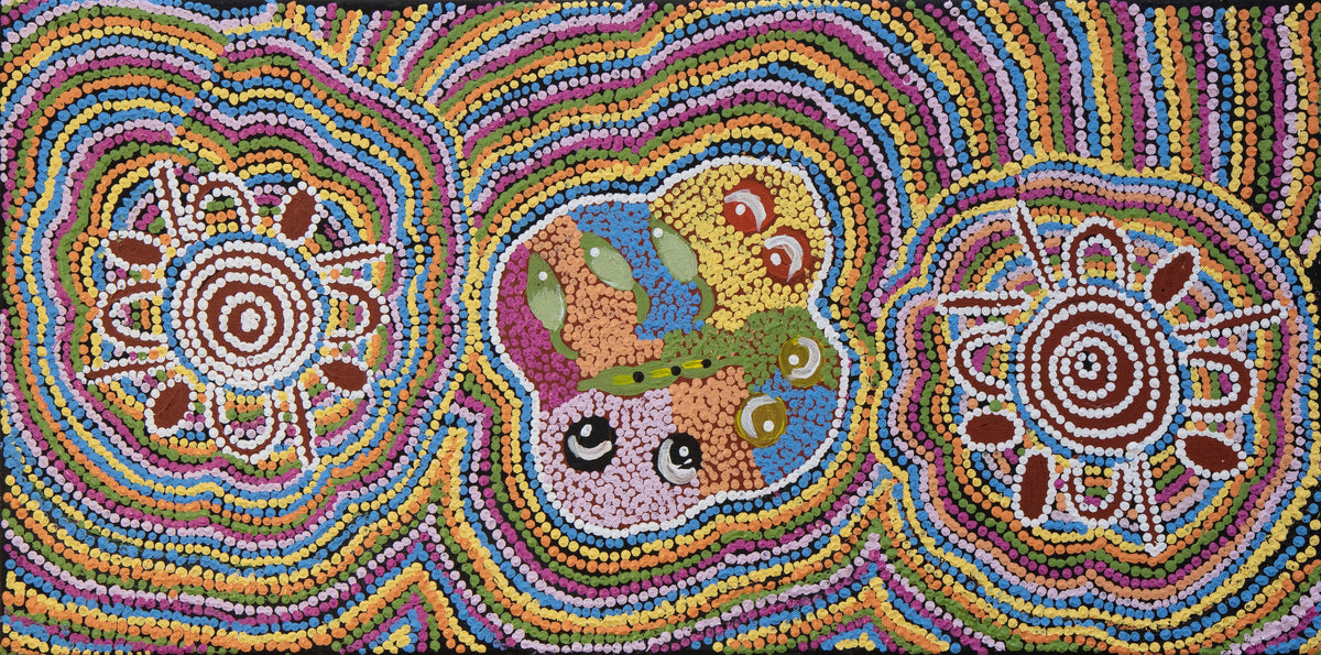 ada andy Kapi Tjukurrpa