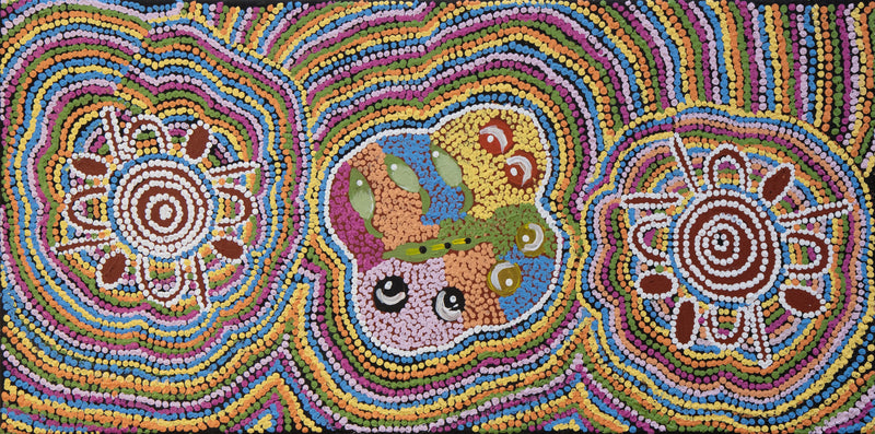 ada andy Kapi Tjukurrpa