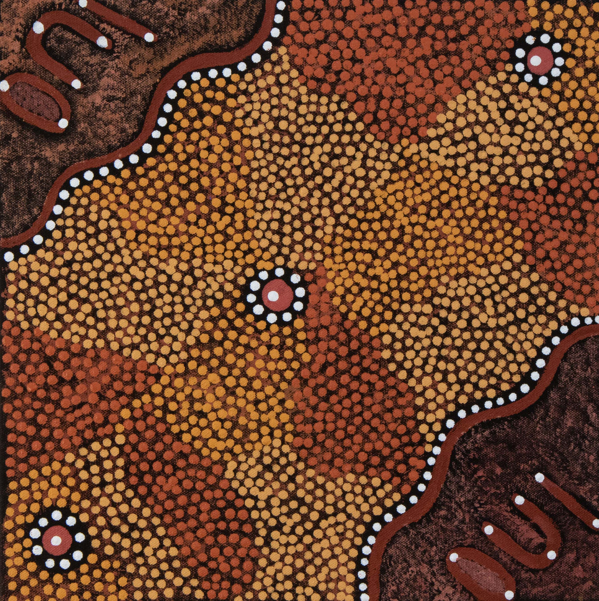 Bush foods by Doreen Bennett